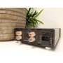HYPEX UcD400 stereo kit